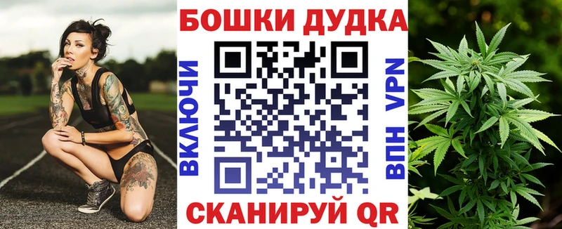 блэк спрут сайт где продают наркотики Лесозаводск Бошки марихуана SATIVA & INDICA